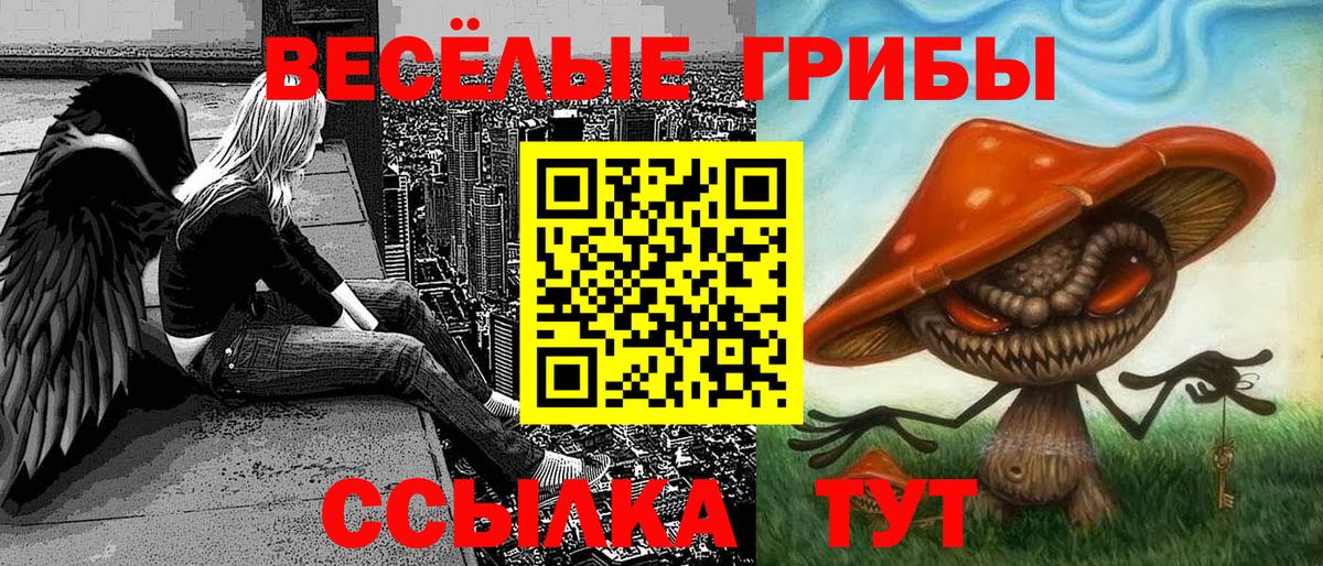 Псилоцибиновые грибы мицелий Белово
