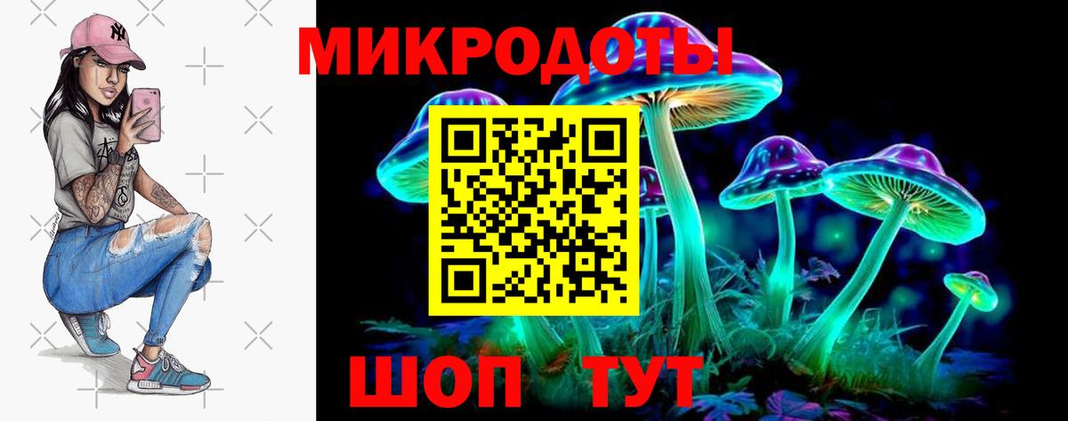 Галлюциногенные грибы Psilocybe  где продают   Белово  Вход с VPN 